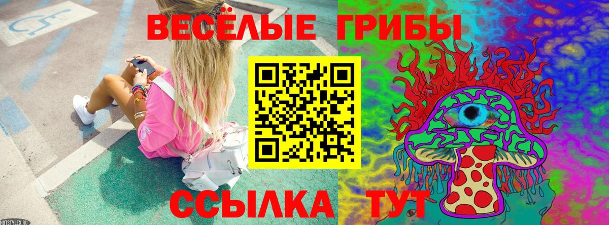 Татарск  Псилоцибиновые грибы Psilocybine cubensis  Вход с VPN 